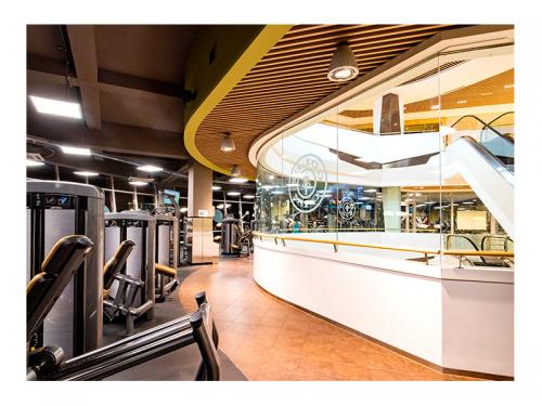 Маталттай шилэн хана /Golds Gym/